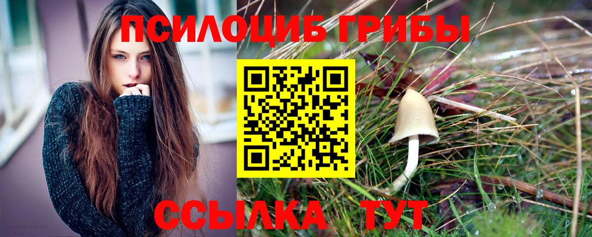 цены   Вход с VPN  Галлюциногенные грибы прущие грибы  Красноармейск  Псилоцибиновые грибы GOLDEN TEACHER 